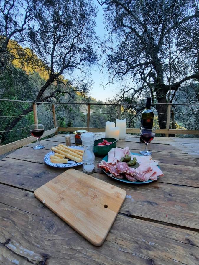 Chalet Zenitude Breil-sur-Roya Εξωτερικό φωτογραφία